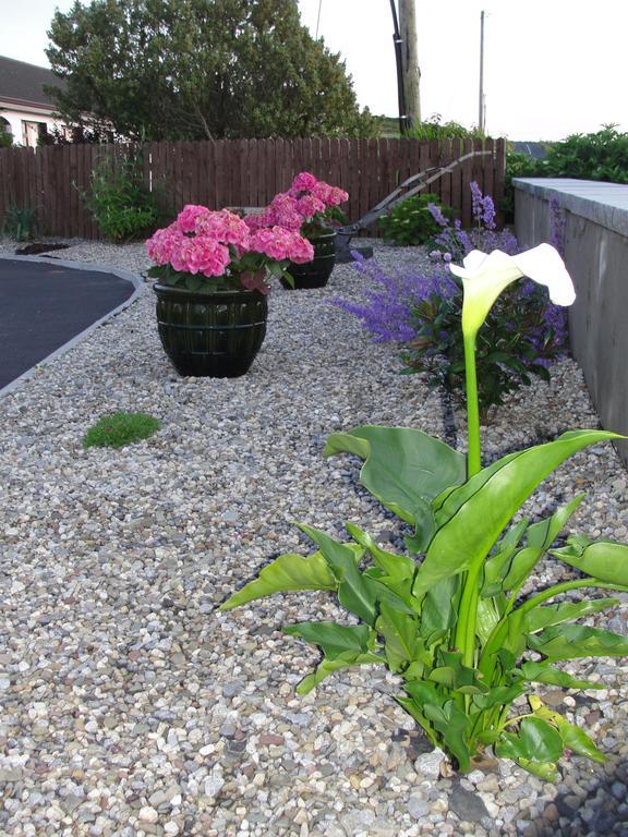 Island View Bed And Breakfast Doolin Exterior foto